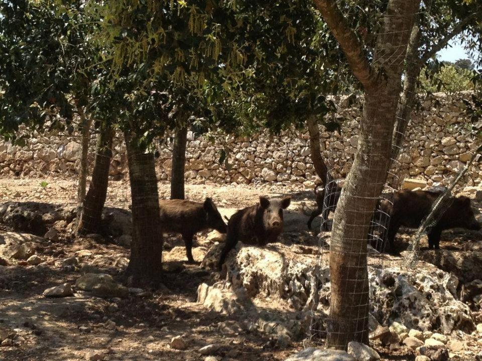 Masseria Autigne Otranto Dış mekan fotoğraf